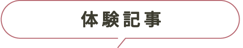 体験記事